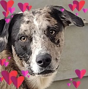 Meet your Posher, April